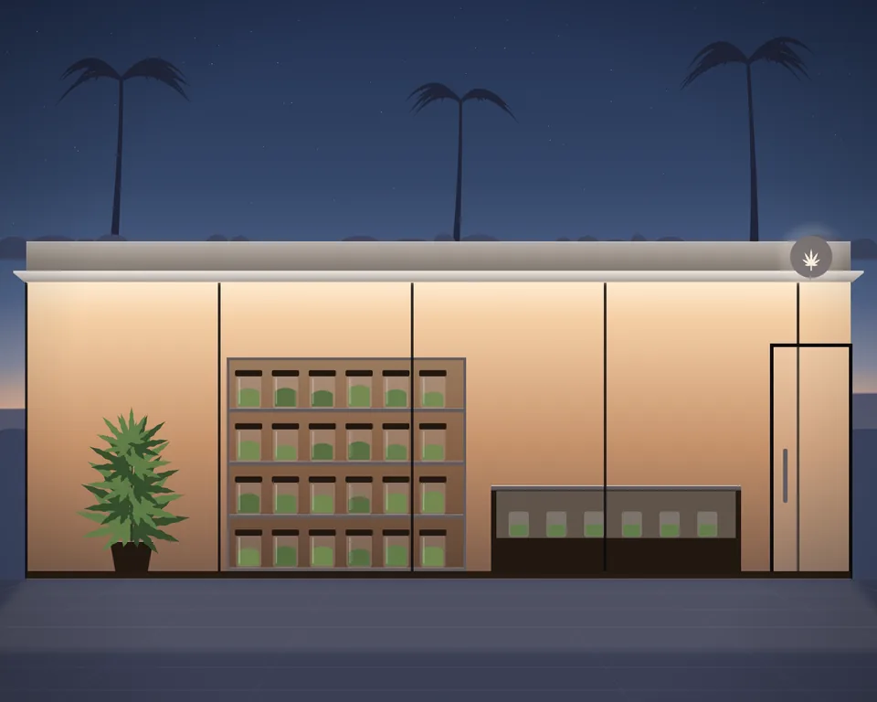 Illustration: a small licensed cannabis shop in the evening, jars on lit shelves, a glass counter and a cannabis plant in the window